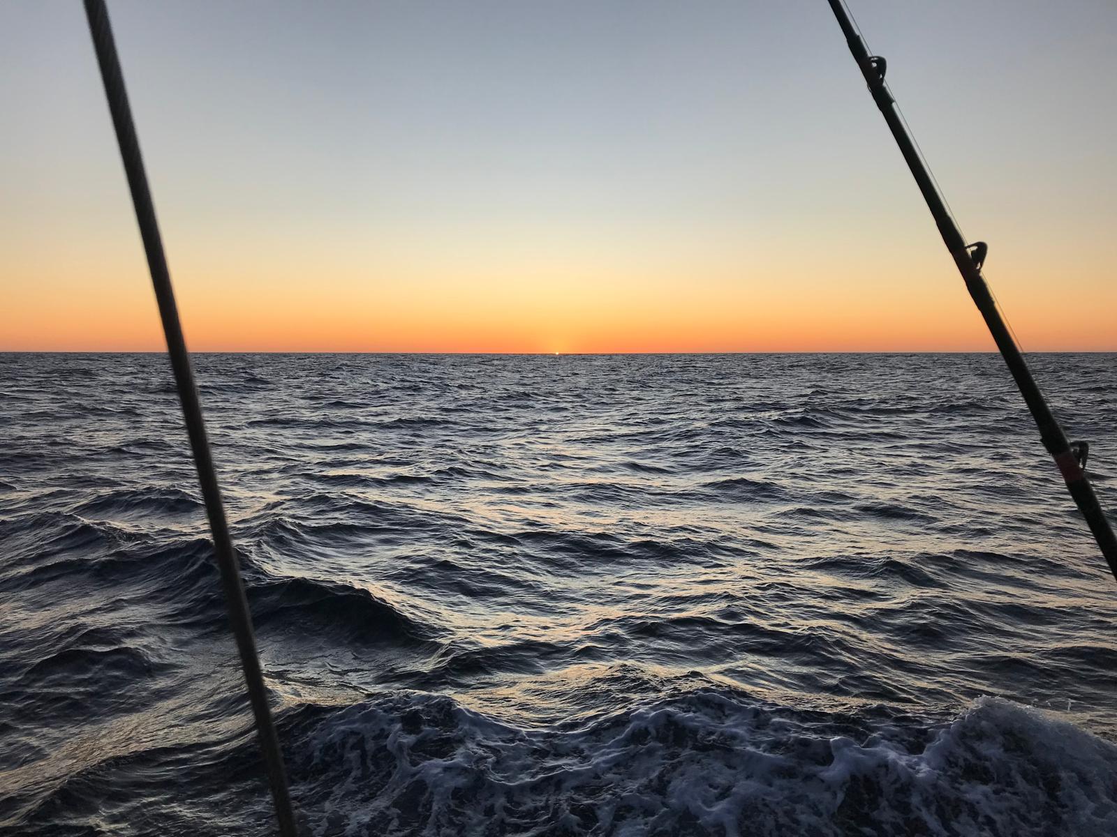 The same evening, later. Fishing rods either side of the frame.