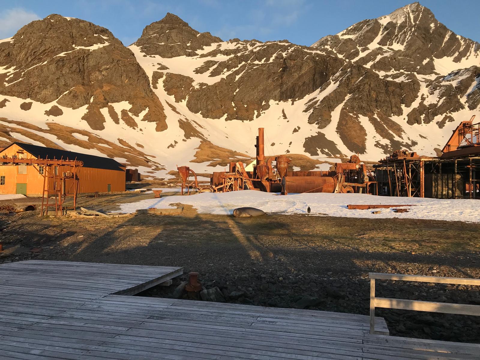 The station from the jetty: winches, boilers, gantries, a hut roofed in black — and an elephant seal asleep on the snow in the middle of it.