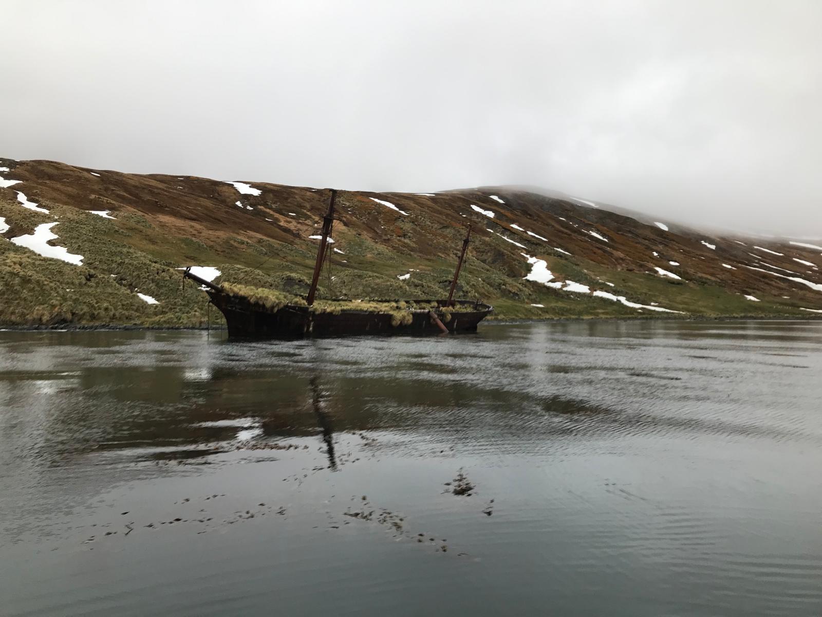 A beached sailing hulk in a shallow bay, iron-hulled, two masts still standing, tussac grass growing out of her deck.